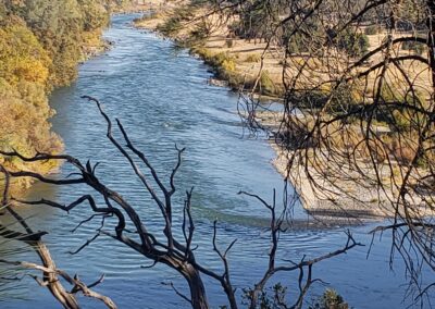 Lower Sacramento River Fly Fishing Guides, River Pursuit Fly Fishing, Red Bluff CA