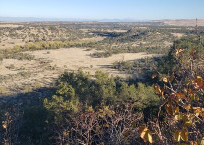 Lower Sacramento River Fly Fishing Guides, River Pursuit Fly Fishing, Red Bluff CA