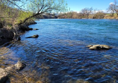 Lower Sacramento River Fly Fishing Guides, River Pursuit Fly Fishing, Red Bluff CA