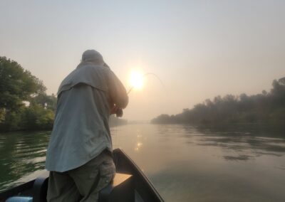 Lower Sacramento River Fly Fishing Guides, River Pursuit Fly Fishing, Red Bluff CA