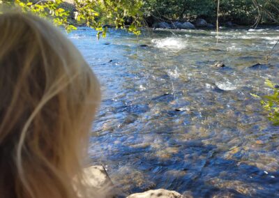 Lower Sacramento River Fly Fishing Guides, River Pursuit Fly Fishing, Red Bluff CA