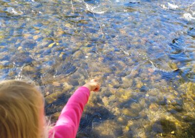 Lower Sacramento River Fly Fishing Guides, River Pursuit Fly Fishing, Red Bluff CA