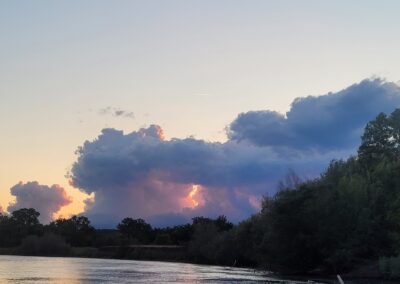 Lower Sacramento River Fly Fishing Guides, River Pursuit Fly Fishing, Red Bluff CA