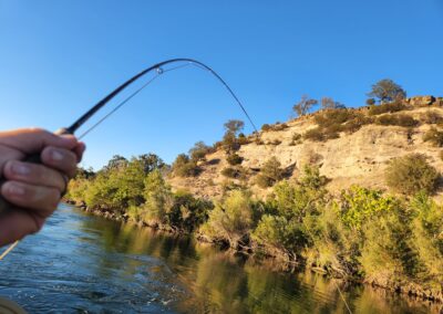 Lower Sacramento River Fly Fishing Guides, River Pursuit Fly Fishing, Red Bluff CA