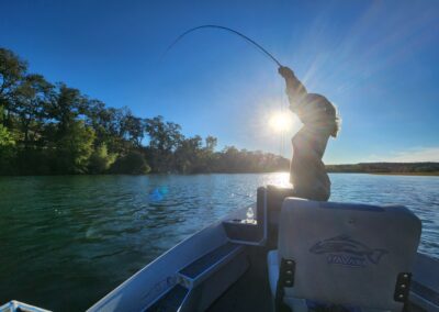 Lower Sacramento River Fly Fishing Guides, River Pursuit Fly Fishing, Red Bluff CA