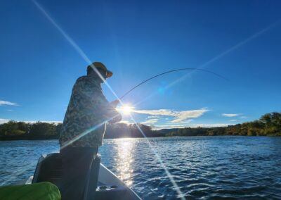 Lower Sacramento River Fly Fishing Guides, River Pursuit Fly Fishing, Red Bluff CA