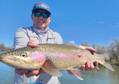 Lower Sacramento River Fly Fishing Guides, River Pursuit Fly Fishing, Red Bluff CA