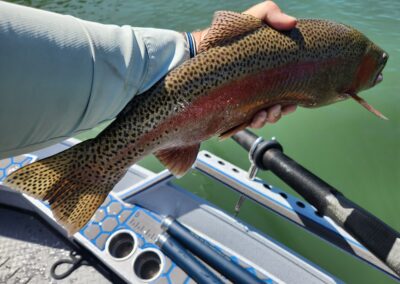 Lower Sacramento River Fly Fishing Guides, River Pursuit Fly Fishing, Red Bluff CA